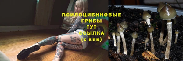 кристаллы Осинники