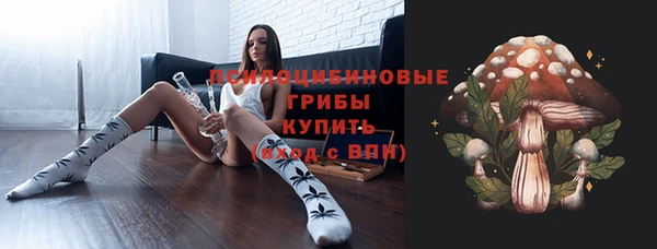 дмт Алзамай