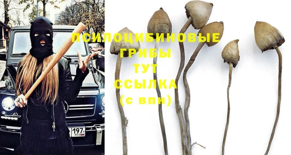 мдма Осташков