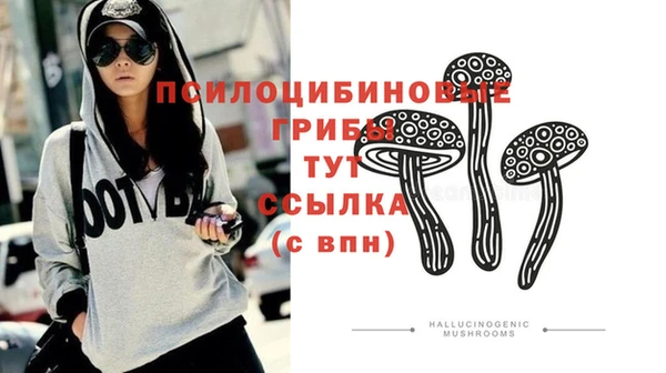 дмт Алзамай