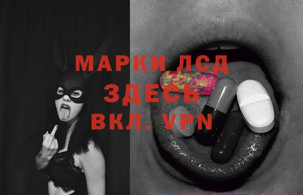 дмт Алзамай